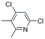 4,6-Dichloro-2,3-dimethylpyridineStructure,101252-84-0Structure 4,6-Dichloro-2,3-dimethylpyridine Structure,101252-84-0Structure