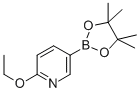 Pyridine, 2-ethoxy-5-(4,4,5,5-tetramethyl-1,3,2-dioxaborolan-2-yl)-Structure,1072945-01-7Structure Pyridine, 2-ethoxy-5-(4,4,5,5-tetramethyl-1,3,2-dioxaborolan-2-yl)- Structure,1072945-01-7Structure