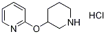 2-(哌啶-3-基氧基)-吡啶鹽酸鹽結(jié)構(gòu)式_1185310-55-7結(jié)構(gòu)式