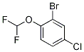 2-Bromo-4-chloro-1-(difluoromethoxy)benzeneStructure,1214348-81-8Structure 2-Bromo-4-chloro-1-(difluoromethoxy)benzene Structure,1214348-81-8Structure