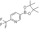 2-Trifluoromethylpyridine-5-boronic acid pinacol ester Structure,1218790-39-6Structure