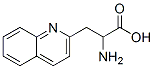 3-(2-喹啉基)-DL-丙氨酸結構式_123761-12-6結構式