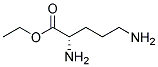 Ornithine, ethyl ester (9ci)Structure,125511-25-3Structure Ornithine, ethyl ester (9ci) Structure,125511-25-3Structure