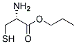 (9ci)-半胱氨酸丙酯結(jié)構(gòu)式_125511-28-6結(jié)構(gòu)式