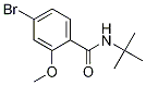 N-叔丁基-4-溴-2-甲氧基苯甲酰胺結構式_1257665-14-7結構式