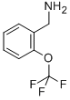 2-(TrifluoroMethoxy)benzylamine Structure,175205-64-8Structure