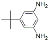 3,5-Diamino-tert-butylbenzeneStructure,22503-17-9Structure 3,5-Diamino-tert-butylbenzene Structure,22503-17-9Structure