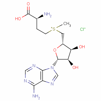 S-(5-腺苷基)-L-氯化蛋氨酸結(jié)構(gòu)式_24346-00-7結(jié)構(gòu)式