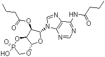 BucladesineStructure,362-74-3Structure Bucladesine Structure,362-74-3Structure