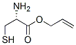 L-cysteine,2-propenyl ester (9ci)Structure,382591-09-5Structure L-cysteine,2-propenyl ester (9ci) Structure,382591-09-5Structure