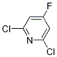 2,6-二氯-4-氟吡啶結構式_52074-49-4結構式
