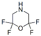 Morpholine, 2,2,6,6-tetrafluoro-(9ci)Structure,65502-95-6Structure Morpholine, 2,2,6,6-tetrafluoro-(9ci) Structure,65502-95-6Structure
