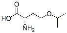 L-homoserine, o-(1-methylethyl)-(9ci)Structure,685842-10-8Structure L-homoserine, o-(1-methylethyl)-(9ci) Structure,685842-10-8Structure