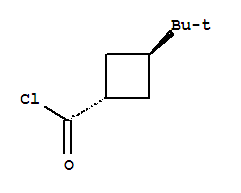 反式-(8ci)-3-叔丁基-環(huán)丁烷羰酰氯結(jié)構(gòu)式_24165-53-5結(jié)構(gòu)式