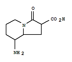 (9ci)-8-氨基八氫-3-氧代-2-吲哚嗪羧酸結構式_349101-84-4結構式