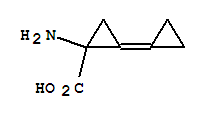 (9ci)-1-氨基-2-環(huán)亞丙基-環(huán)丙烷羧酸結構式_785761-16-2結構式
