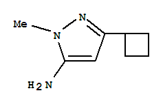 5-環(huán)丁基-2-甲基-2H-吡唑-3-胺結(jié)構(gòu)式_92406-41-2結(jié)構(gòu)式